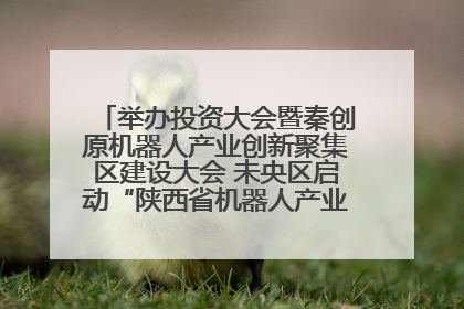 举办投资大会暨秦创原机器人产业创新聚集区建设大会 未央区启动“陕西省机器人产业聚集区”建设