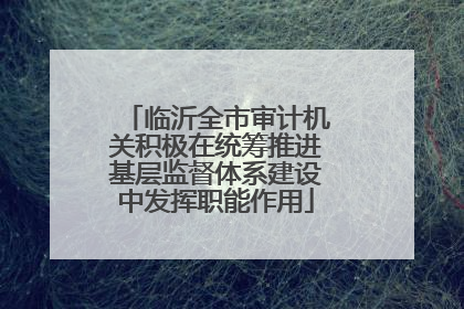 临沂全市审计机关积极在统筹推进基层监督体系建设中发挥职能作用