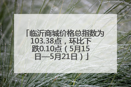 临沂商城价格总指数为103.38点，环比下跌0.10点（5月15日—5月21日）