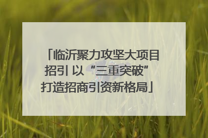 临沂聚力攻坚大项目招引 以“三重突破”打造招商引资新格局