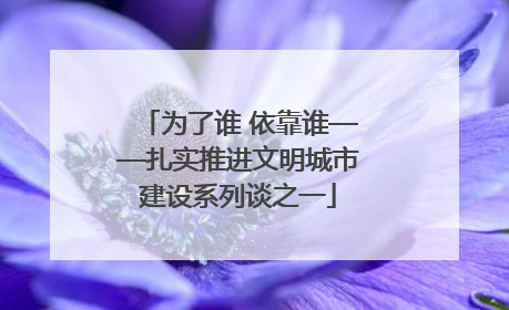 为了谁 依靠谁——扎实推进文明城市建设系列谈之一