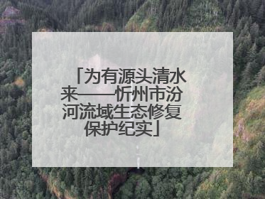 为有源头清水来——忻州市汾河流域生态修复保护纪实