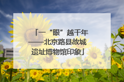 一“眼”越千年——北京路县故城遗址博物馆印象