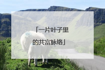 一片叶子里的共富脉络