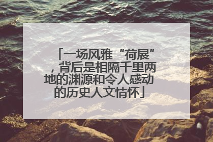 一场风雅“荷展”，背后是相隔千里两地的渊源和令人感动的历史人文情怀