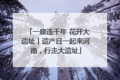 一廊连千年 花开大遗址丨遗产日一起来河南，行走大遗址