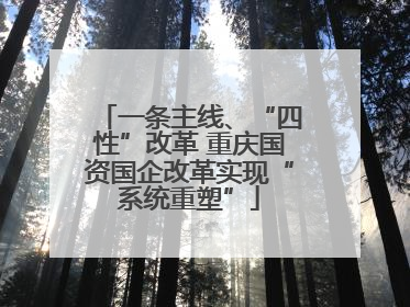 一条主线、“四性”改革 重庆国资国企改革实现“系统重塑”