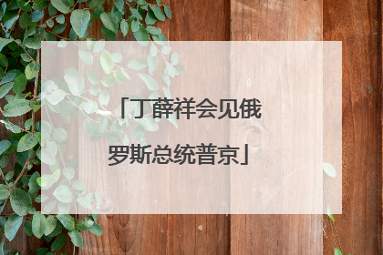 丁薛祥会见俄罗斯总统普京