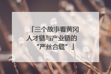 三个故事看黄冈人才链与产业链的“严丝合缝”