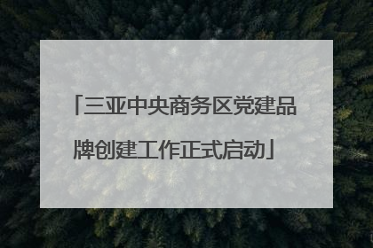 三亚中央商务区党建品牌创建工作正式启动