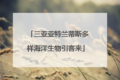 三亚亚特兰蒂斯多样海洋生物引客来