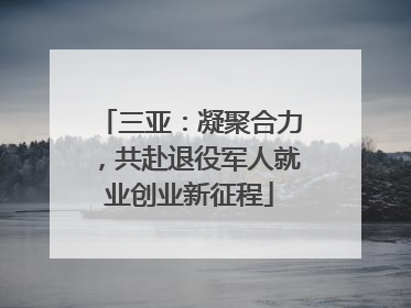 三亚：凝聚合力，共赴退役军人就业创业新征程