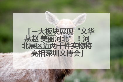 三大板块展现“文华燕赵 美丽河北”！河北展区近两千件实物将亮相深圳文博会