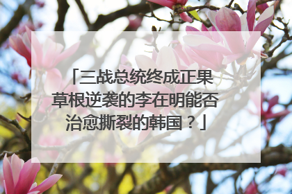 三战总统终成正果 草根逆袭的李在明能否治愈撕裂的韩国？