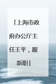 上海市政府办公厅主任王平，履新职