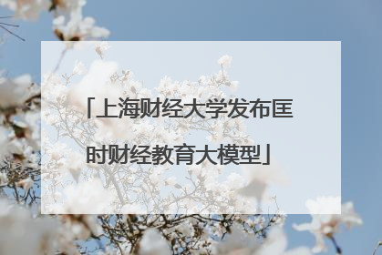 上海财经大学发布匡时财经教育大模型