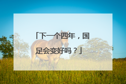 下一个四年，国足会变好吗？