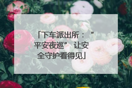 下车派出所：“平安夜巡” 让安全守护看得见