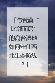 与荒漠“比邻而居”的高台湿地如何守住西北生态防线？