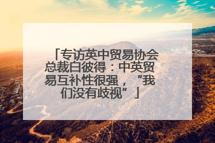 专访英中贸易协会总裁白彼得：中英贸易互补性很强，“我们没有歧视”