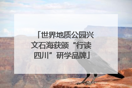 世界地质公园兴文石海获颁“行读四川”研学品牌