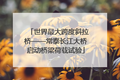 世界最大跨度斜拉桥——常泰长江大桥启动桥梁荷载试验