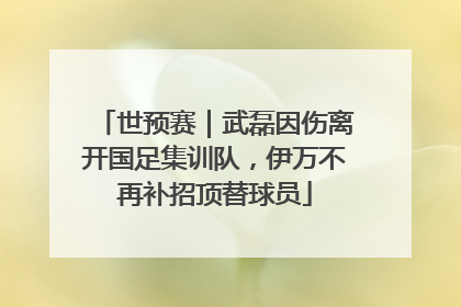 世预赛｜武磊因伤离开国足集训队，伊万不再补招顶替球员