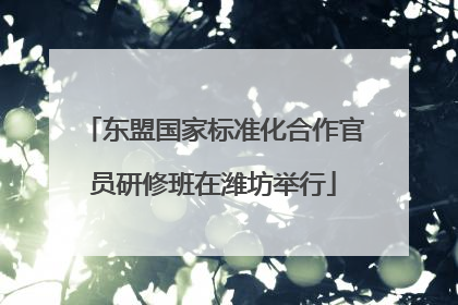 东盟国家标准化合作官员研修班在潍坊举行