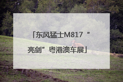 东风猛士M817“亮剑”粤港澳车展
