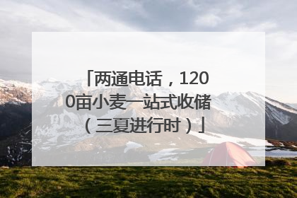 两通电话，1200亩小麦一站式收储（三夏进行时）