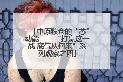 中原粮仓的“芯”动能——“打赢这一战 底气从何来”系列观察之四