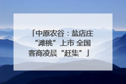 中原农谷：盐店庄“滩桃”上市 全国客商凌晨“赶集”