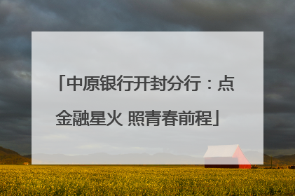 中原银行开封分行：点金融星火 照青春前程