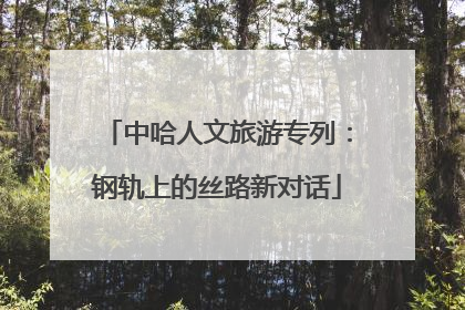 中哈人文旅游专列：钢轨上的丝路新对话