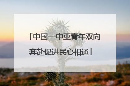 中国—中亚青年双向奔赴促进民心相通