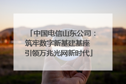 中国电信山东公司：筑牢数字新基建基座 引领万兆光网新时代