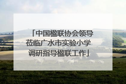 中国楹联协会领导莅临广水市实验小学调研指导楹联工作