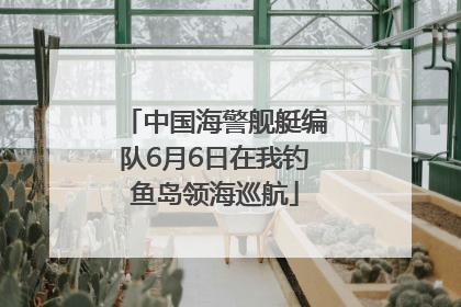 中国海警舰艇编队6月6日在我钓鱼岛领海巡航