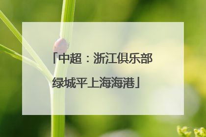 中超：浙江俱乐部绿城平上海海港