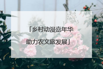 乡村动漫嘉年华助力农文旅发展
