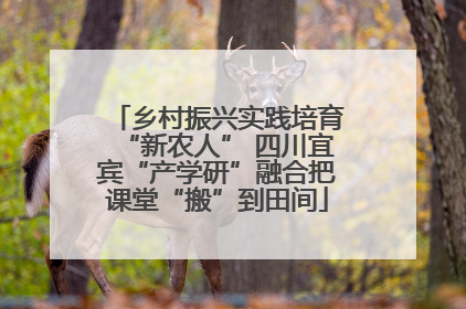 乡村振兴实践培育“新农人” 四川宜宾“产学研”融合把课堂“搬”到田间