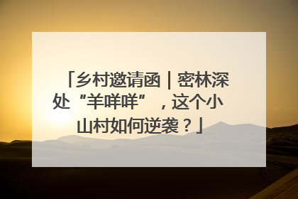 乡村邀请函｜密林深处“羊咩咩”，这个小山村如何逆袭？