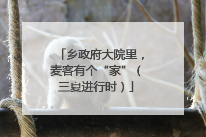 乡政府大院里，麦客有个“家”（三夏进行时）