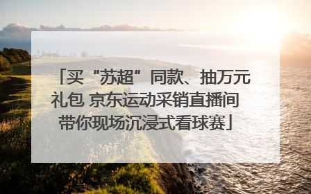 买“苏超”同款、抽万元礼包 京东运动采销直播间带你现场沉浸式看球赛