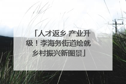 人才返乡 产业升级！李海务街道绘就乡村振兴新图景