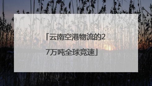 云南空港物流的27万吨全球竞速