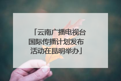 云南广播电视台国际传播计划发布活动在昆明举办