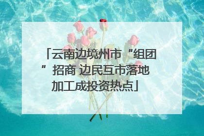 云南边境州市“组团”招商 边民互市落地加工成投资热点