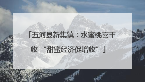 五河县新集镇：水蜜桃喜丰收 “甜蜜经济促增收”