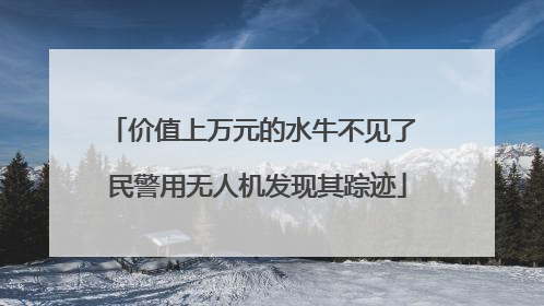 价值上万元的水牛不见了 民警用无人机发现其踪迹